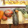 Výstava ovocia, zeleniny a kvetov (4).JPG