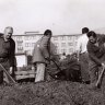 1985 - Rekonštrukcia futbalovej plochy - pokládka trávnych drnov