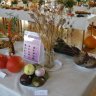 Výstva ovocia, zeleniny a kvetov v Rajci - 2016 (8).JPG