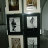 Výstava Okamih vo fotografii (2).JPG