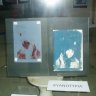 Výstava Okamih vo fotografii (10).JPG
