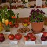 Výstava ovocia, zeleniny a kvetov v Rajci 2018 (15).JPG