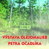 Výstava olejomalieb Petra Očadlíka